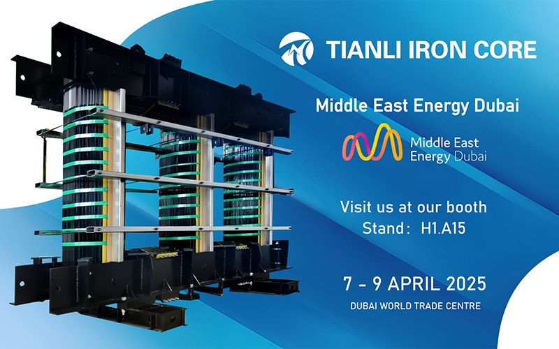 তাইজৌ তিয়ানলি আয়রন কোর ম্যানুফ্যাকচারিং কোং, লি.